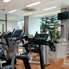 Отель Hilton Colombo Residence Шри-Ланка, Коломбо - отзывы, цены и фото номеров - забронировать отель Hilton Colombo Residence онлайн фитнесс-зал фото 4
