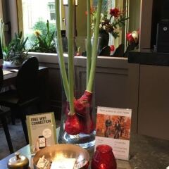 Apple Inn Hotel в номере фото 2