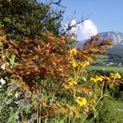Отель Biohof Schwanser фото 7