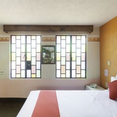 Отель Quinta Bugambilia Мексика, Мехико - отзывы, цены и фото номеров - забронировать отель Quinta Bugambilia онлайн фото 10
