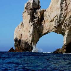 Отель Great 1/br Ocean View Studio IN Cabo SAN Lucas Мексика, Кабо-Сан-Лукас - отзывы, цены и фото номеров - забронировать отель Great 1/br Ocean View Studio IN Cabo SAN Lucas онлайн с домашними животными