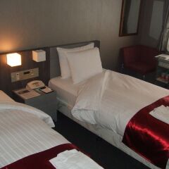 Hotel Lake Alster Alza Izumiotsu Матсубара комната для гостей фото 4