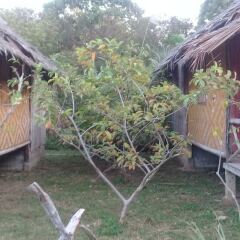 Отель Sirianda Bungalows Ланта фото 10