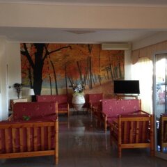 Отель Phaethon Hotel Греция, Кос - 1 отзыв об отеле, цены и фото номеров - забронировать отель Phaethon Hotel онлайн комната для гостей фото 2