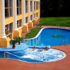 Гостиница Royal Sun Geneva бассейн фото 3