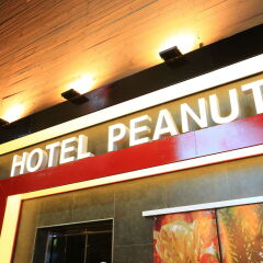 Отель Peanut Hotel Южная Корея, Сеул - отзывы, цены и фото номеров - забронировать отель Peanut Hotel онлайн