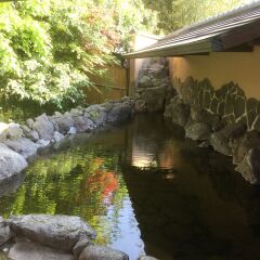 Отель Ryokan Yuri Хидзи с домашними животными