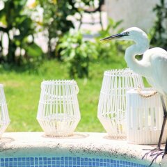 Отель Maya Hotel Residence Мексика, Остров Ольбокс - отзывы, цены и фото номеров - забронировать отель Maya Hotel Residence онлайн фото 2