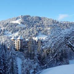 Отель The Alpina Gstaad спортивное сооружение