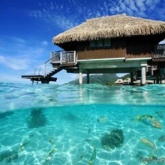 Отель Hilton Moorea Lagoon Resort and Spa Французская Полинезия, Муреа - отзывы, цены и фото номеров - забронировать отель Hilton Moorea Lagoon Resort and Spa онлайн бассейн фото 3
