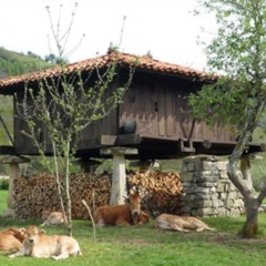 Hotel Rural Sucuevas - Adults Only Кангас-де-Онис фото 2