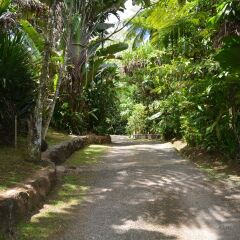 Отель Colo-I-Suva Rainforest Eco Resort Вити-Леву фото 10