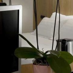 Отель Hilton Garden Inn Rome Claridge в номере фото 2