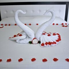 Отель Cache Hotel Boutique - Только для взрослых Мексика, Плая-дель-Кармен - отзывы, цены и фото номеров - забронировать отель Cache Hotel Boutique - Только для взрослых онлайн спа