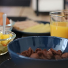 Отель Botanic Views Guest House Лиссабон гостиничный бар