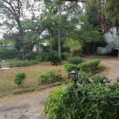Отель Devon Estate Kingston Jamaica