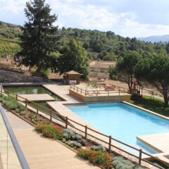 Отель Douro Cister Hotel Resort Rural & Spa Португалия, Байао - отзывы, цены и фото номеров - забронировать отель Douro Cister Hotel Resort Rural & Spa онлайн балкон