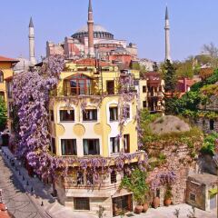 Empress Zoe Турция, Стамбул - отзывы, цены и фото номеров - забронировать отель Empress Zoe онлайн городской автобус