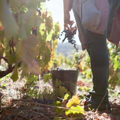 Отель Rural Quinta Do Silval Алижо фото 4