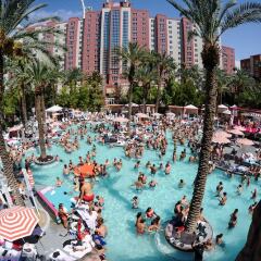 Flamingo Las Vegas - Hotel & Casino бассейн фото 2