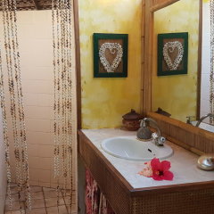 Blue Heaven Island in Bora Bora, French Polynesia from 193$, photos, reviews - zenhotels.com bathroom
