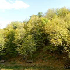 Отель Цахкаовит фото 12