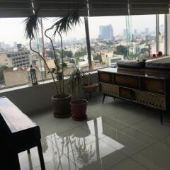 Отель Napoles Condo Suites Мексика, Мехико - отзывы, цены и фото номеров - забронировать отель Napoles Condo Suites онлайн гостиничный бар