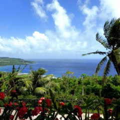 Cottage Garden in Saipan, Northern Mariana Islands from 337$, photos, reviews - zenhotels.com photo 6