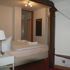 Hotel Alt Connewitz комната для гостей фото 5