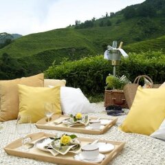 Отель Cameron Highlands Resort в номере фото 2