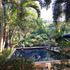 Отель Kanita Garden At Phuket бассейн фото 4