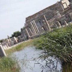 Apollon Hotel Турция, Патара - отзывы, цены и фото номеров - забронировать отель Apollon Hotel онлайн пляж