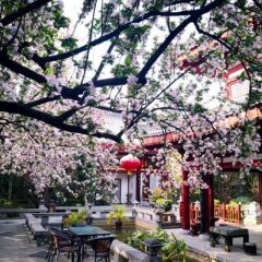 Отель Tang Dynasty Art Garden Hotel Китай, Сиань - отзывы, цены и фото номеров - забронировать отель Tang Dynasty Art Garden Hotel онлайн фото 4
