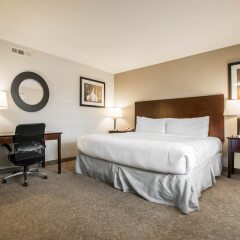 Отель Rodeway Inn Convention Center США, Лос-Анджелес - отзывы, цены и фото номеров - забронировать отель Rodeway Inn Convention Center онлайн комната для гостей фото 5