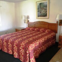 Отель 99 Palms Inn & Suites комната для гостей