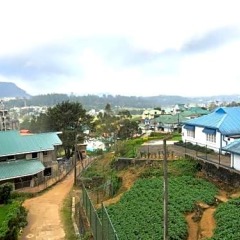 Tea Bush Hotel - Nuwara Eliya фото 3