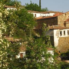 Отель Terrace Houses Sirince - Fig, Olive and Grapevine фото 6