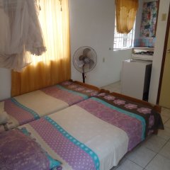 Happy Turtle Apartments in Willemstad, Curacao from 62$, photos, reviews - zenhotels.com photo 2
