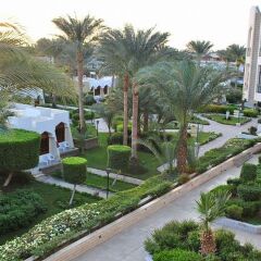 ZYA Regina Resort and Aqua Park in Hurghada, Egypt from 66$, photos, reviews - zenhotels.com balcony