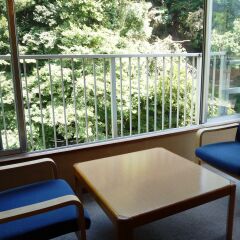 Отель Hakone Pax Yoshino балкон