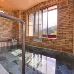 Hotel Hakuba Berg-Land Хакуба бассейн
