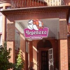 Гостиница Черепаха в Калининграде отзывы, цены и фото номеров - забронировать гостиницу Черепаха онлайн Калининград фото 2