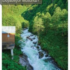Ayder Hasimoglu Hotel Чамлыхемшин фото 16