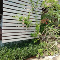 Отель Sleepwhale Lanta Resort At Long Beach Ланта фото 4