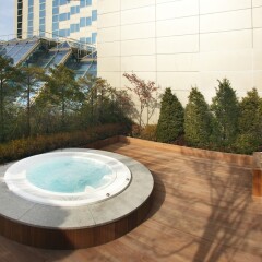 Отель Novotel Ambassador Seoul Gangnam Южная Корея, Сеул - отзывы, цены и фото номеров - забронировать отель Novotel Ambassador Seoul Gangnam онлайн фото 10