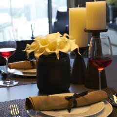Отель Ascott Orchard Singapore