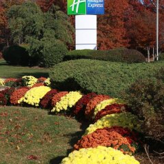Отель Holiday Inn Express Stony Brook фото 14