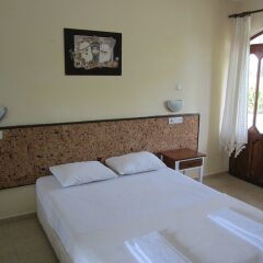 Xanthos Boutique Hotel Patara Турция, Патара - отзывы, цены и фото номеров - забронировать отель Xanthos Boutique Hotel Patara онлайн комната для гостей фото 4