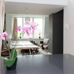 Отель Smartflats Archimede Penthouse Apartment Бельгия, Брюссель - отзывы, цены и фото номеров - забронировать отель Smartflats Archimede Penthouse Apartment онлайн удобства в номере фото 2