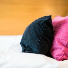 Отель Scandic Jarva Krog Солна с домашними животными